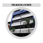 logoMesa de trabajo 12 copia 4